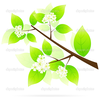 Green Tree Branch Icon Image