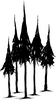 Pine Tree Silhouette Image