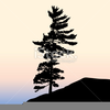 Clipart Tree Pine Image