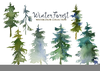 Clipart Pictures Of Pine Trees Image