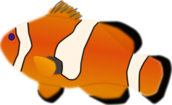 Aquarium Fish Amphiprion Percula Clip Art At Clker Com Vector Clip Art Online Royalty Free Public Domain