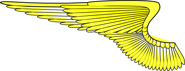 Medium Gold Wings