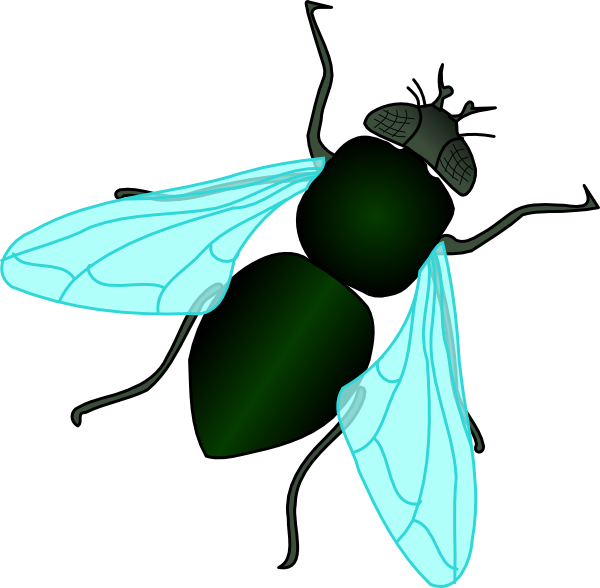 http://www.clker.com//cliparts/h/2/f/r/7/5/green-house-fly-hi.png