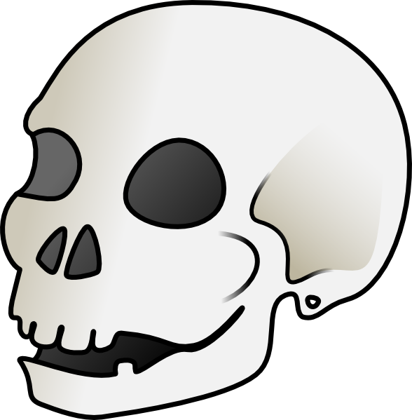 skull clipart free download - photo #40