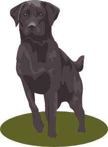 Labrador Retriever (black) Clip Art