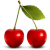 Cherry Icon Image