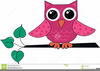 Little Owls Clipart Image