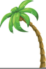 Palm Tree Clipart Image