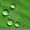 Clipart Water Droplets Image