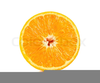 Citrus Clipart Image