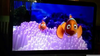 Marlin Finding Nemo Image