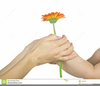 Hands Giving Clipart Image
