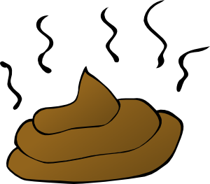 11971498111217377622nicubunu_Feces.svg.med.png