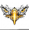 Philadelphia Eagle Clipart Image