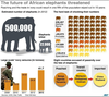 Ivory Trade Statistics Image