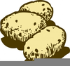 Clipart Potato Image