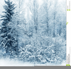 Winter Scenery Clipart Image