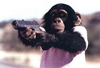 Monkey Gun Image