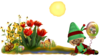Friedlichtrans Image