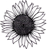 Find Free Sunflower Clipart Image