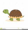 Cute Tortoise Clipart Image