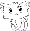 Kitten Color In Clipart Image