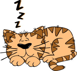 Cartoon Cat Sleeping Clip Art