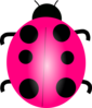 Pink Ladybug Clip Art