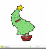 Hand Drawn Christmas Tree Clipart Image