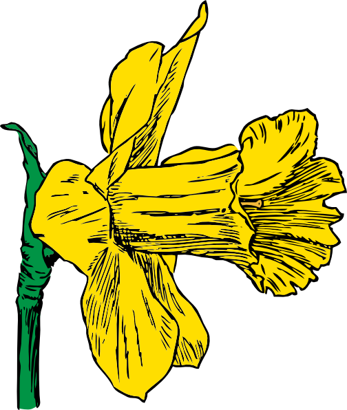 free clip art daffodil border - photo #39