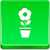 Pot Flower Icon Image