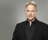 Mark Harmon Image