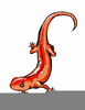 Salamander Cartoon Clipart Image