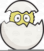 Chick Coming Out Of Egg Clipart Image