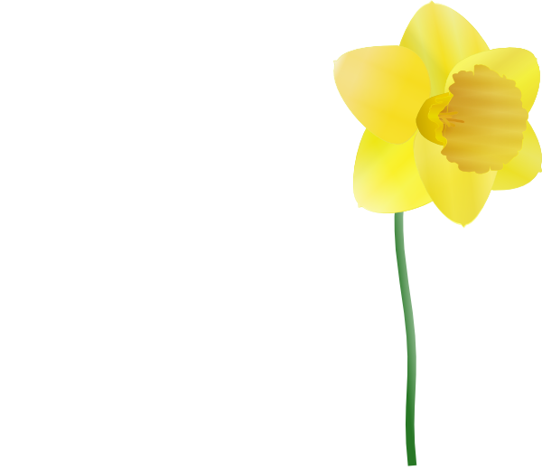 free clip art daffodil border - photo #16