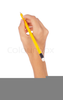 Hand Holding Clipart Image