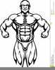 Free Clipart Of Muscle Men Image