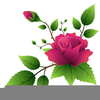 Two Bud Flower Clipart Image