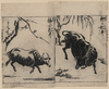 Two Oxen, One Under A Willow Tree And One Under A Plum Tree Image