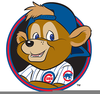 Bear Chicago Clipart Free Image