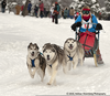 Clipart Sled Dog Image