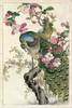 Japanese Floral Prints Image