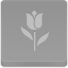 Tulip Icon Image