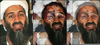 Clipart Usama Bin Laden Image