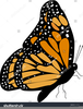 Monarch Butterfly Free Clipart Image