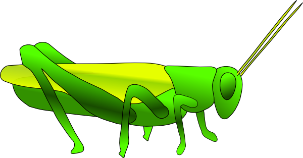 green grasshopper clipart - photo #3