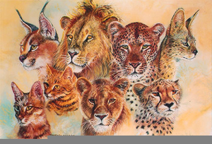 Clipart Wild Cats Image