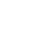 Lion White Clip Art