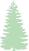 Mint Pine Clip Art