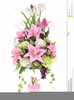 Clipart Flower Vase Image
